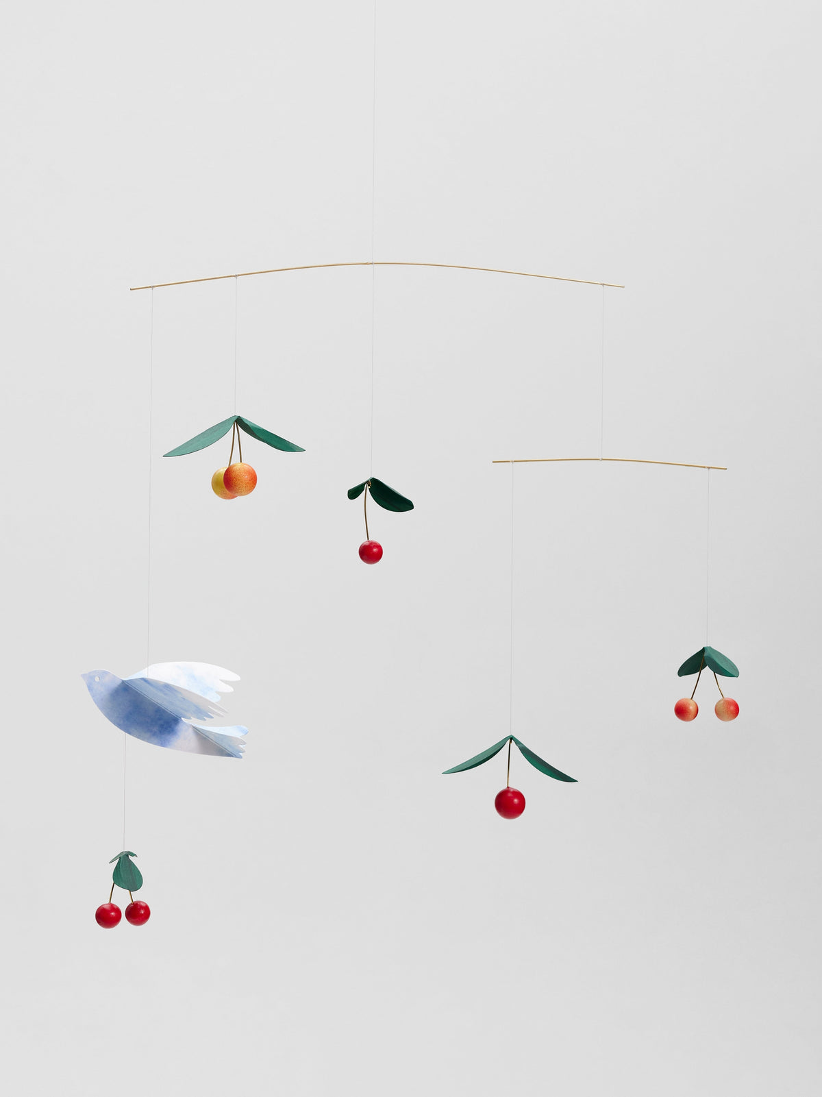 Cherry Bird