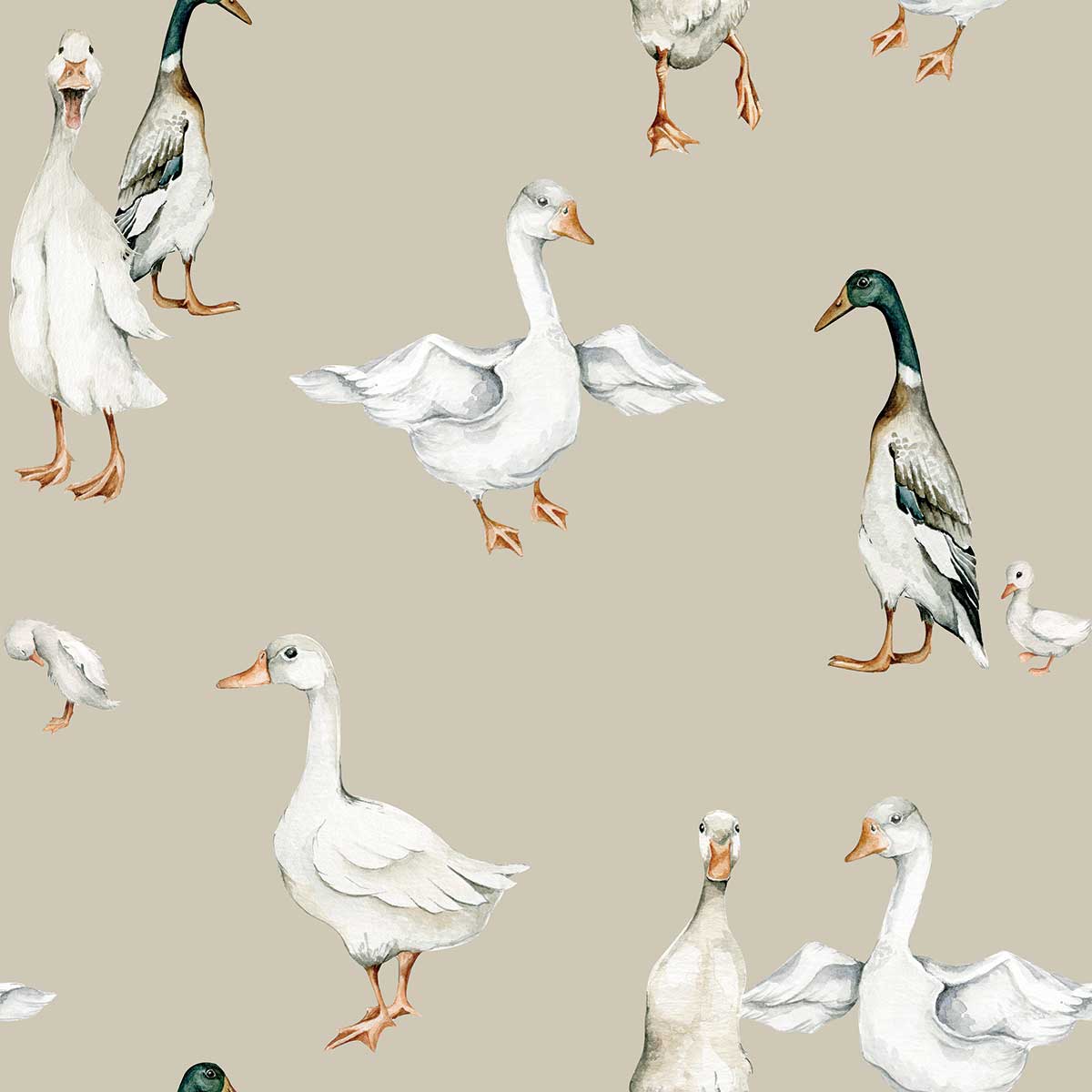 Papel Pintado Patos Blancos (White Ducks Tapeta / Return to Innocence) – Dekornik