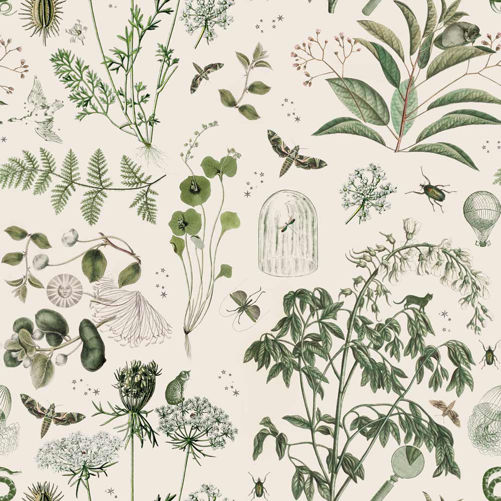 Papel Pintado Historias Botánicas Verdes (Green Botanical Stories Tapeta) – Dekornik
