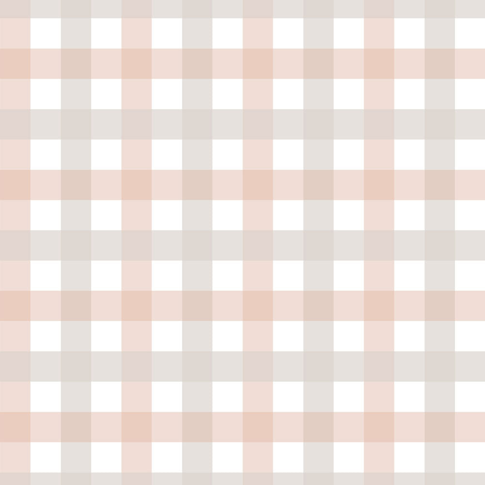 Cuadros de Provenza Beige Rosa Pequeño (Provence Check Beige Pink Small) – Dekornik
