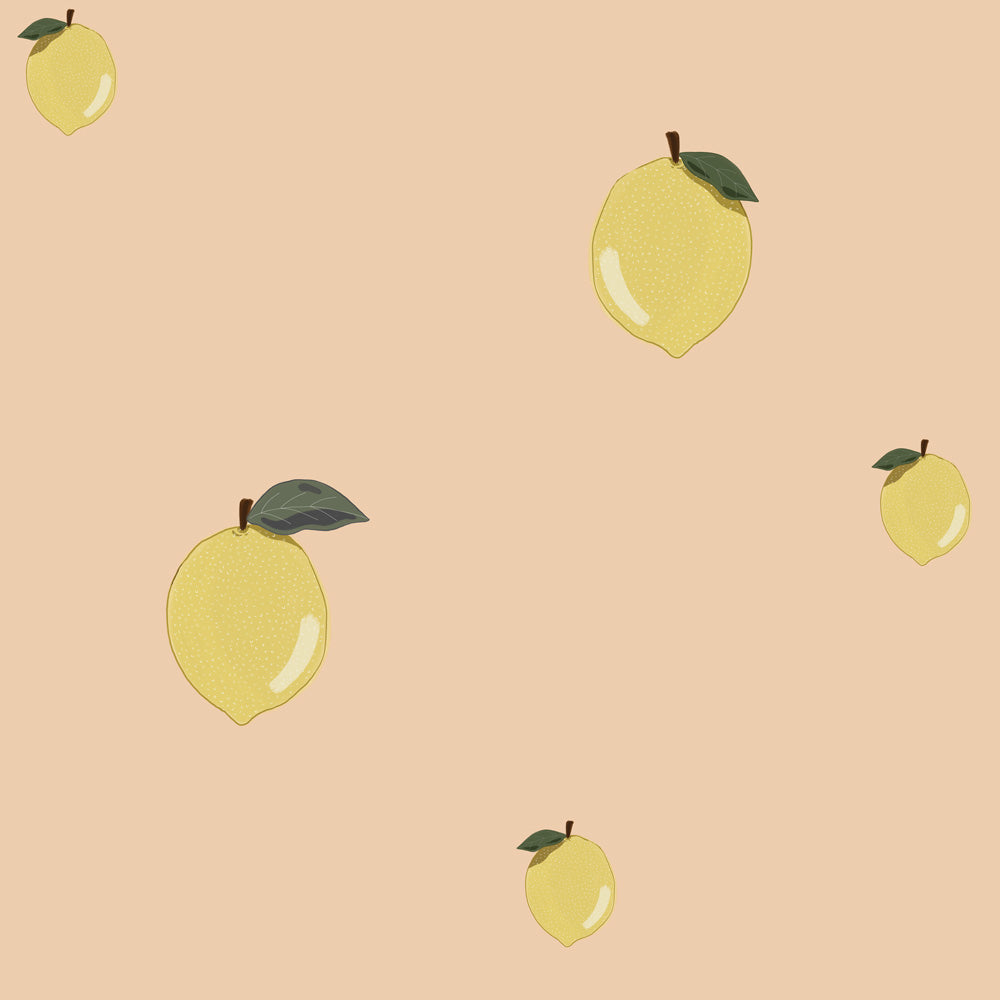 Pequeños Limones Salmón (Little Lemons Salmon) – Dekornik