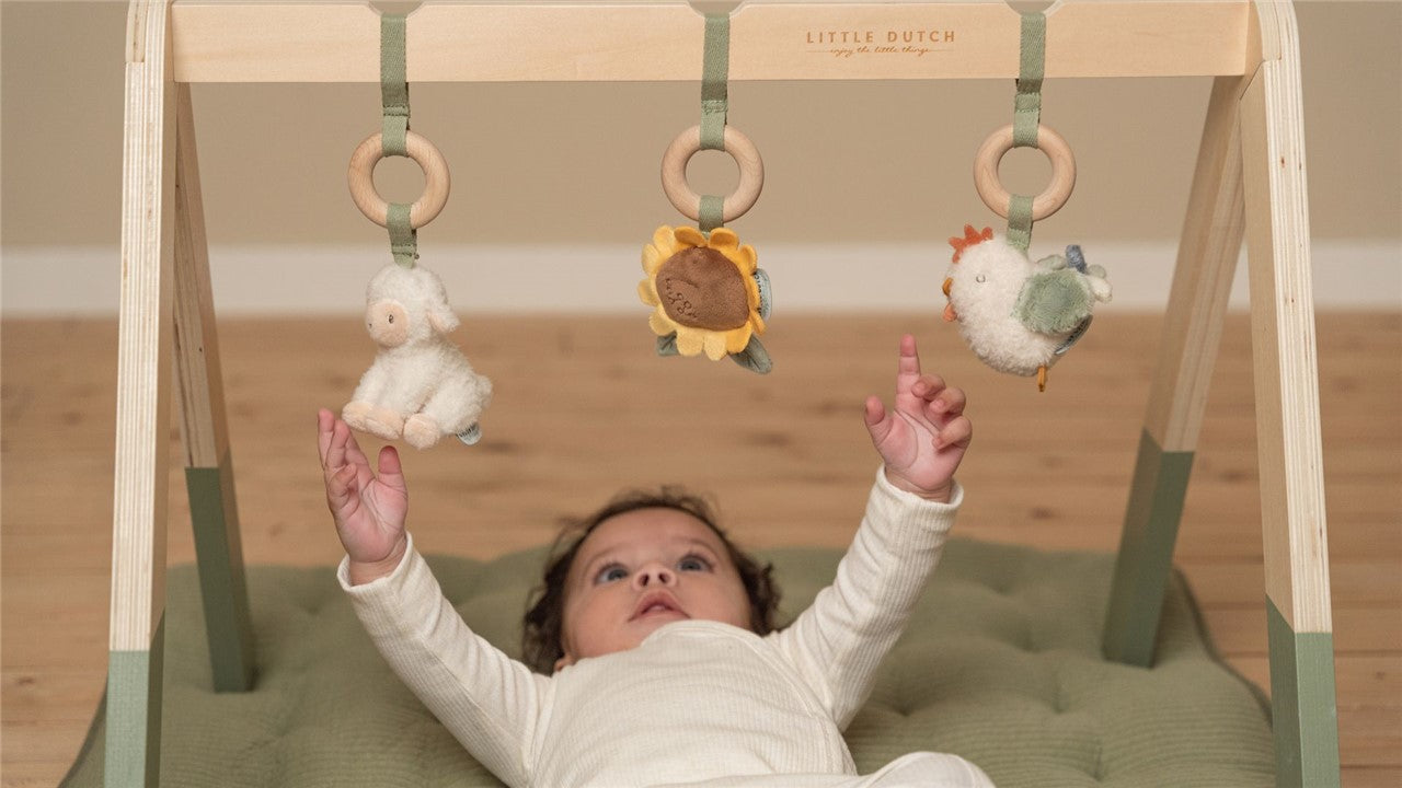 BABYGYM CON JUGUETES PEQUEÑA GRANJA LITT