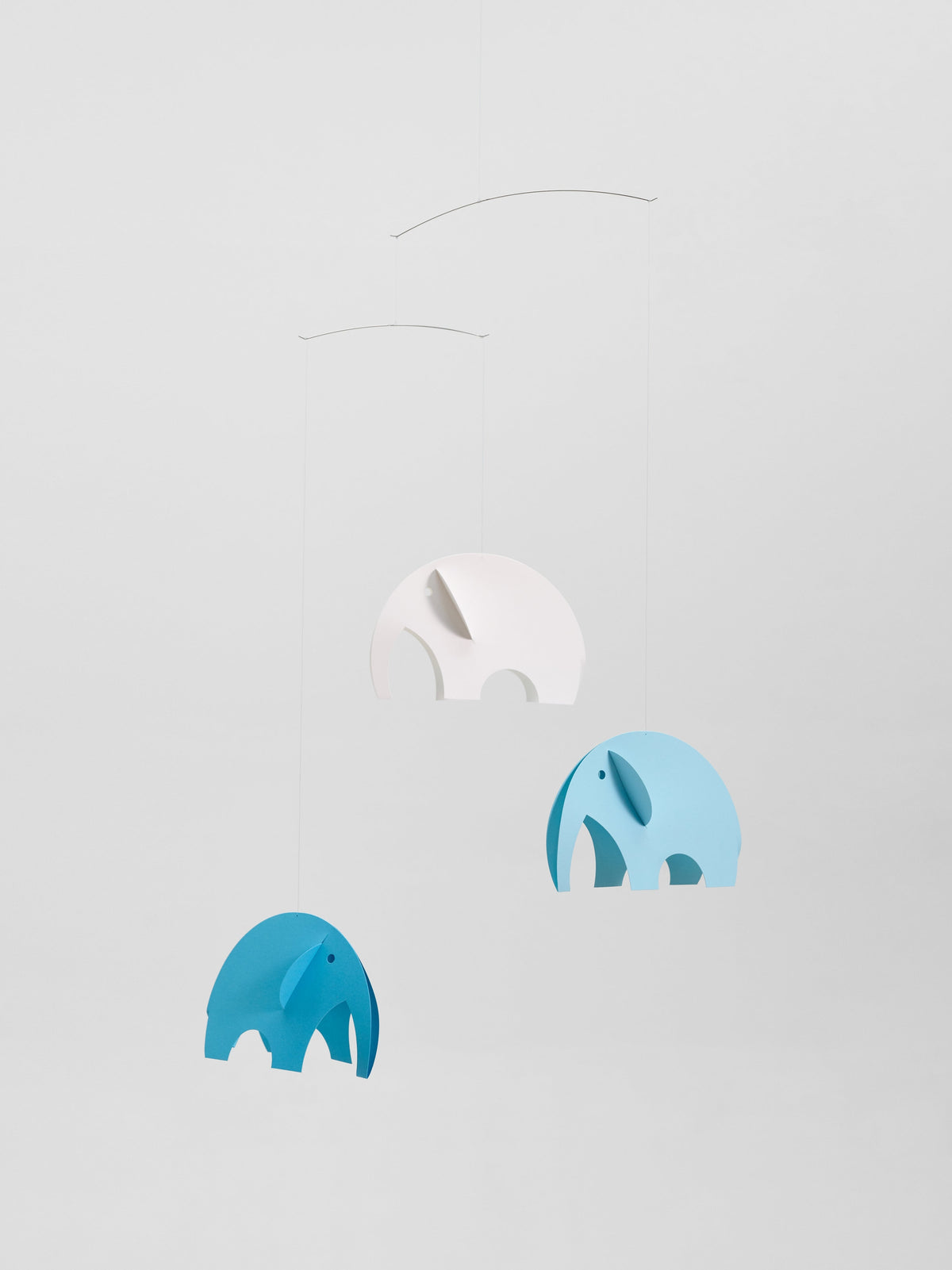Olephants, Blue