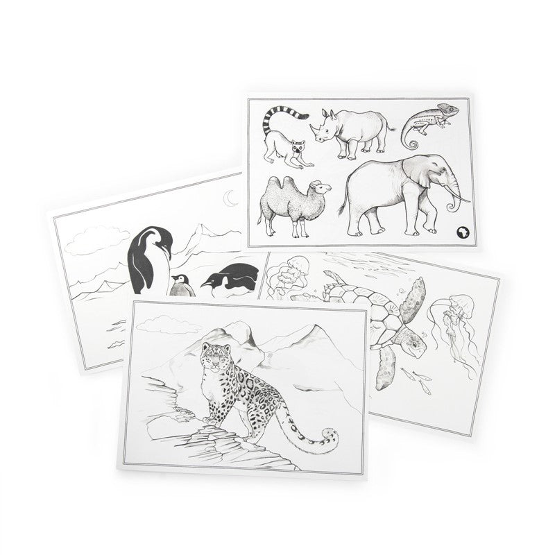 Set de 24 plantillas de dibujo Tout autour du Monde para Kidywolf - Moulin Roty