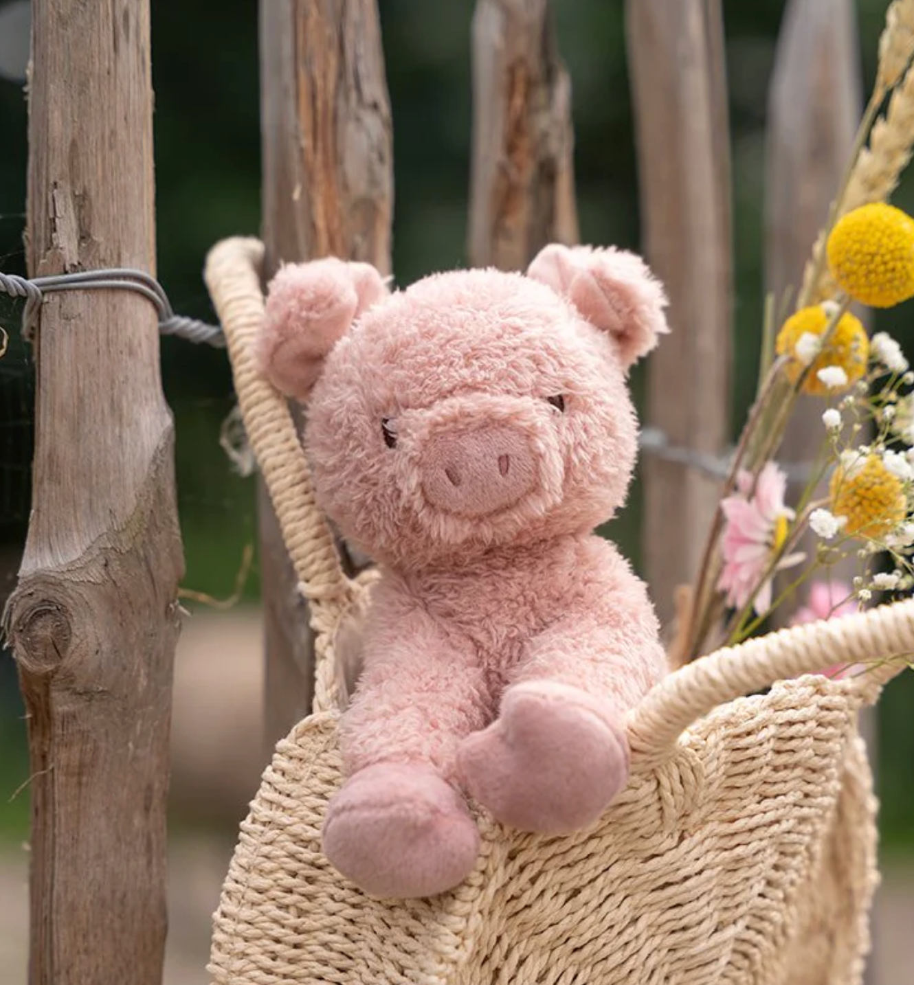 Cerdito Pequeńa - Little Dutch