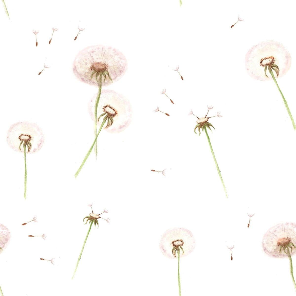 Papel Pintado Dientes de León (Dandelions Tapeta) – Dekornik