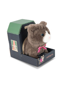 Gato Andarín Grey