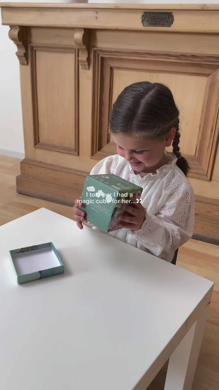 Cubo Infinito Estaciones del Año - Egmont Toys