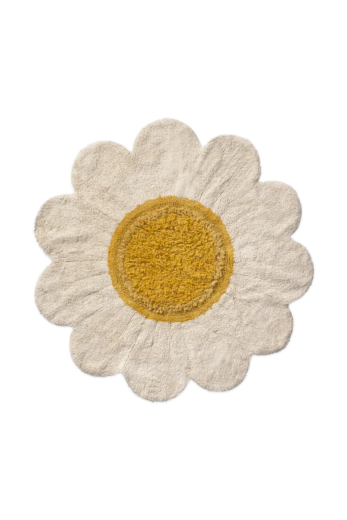 Vista frontal de White Daisy, con forma de margarita, pétalos en tono marfil y centro amarillo de textura irregular.